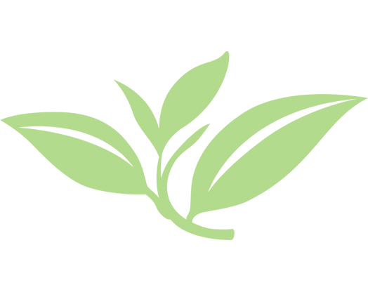 Image of a leaf